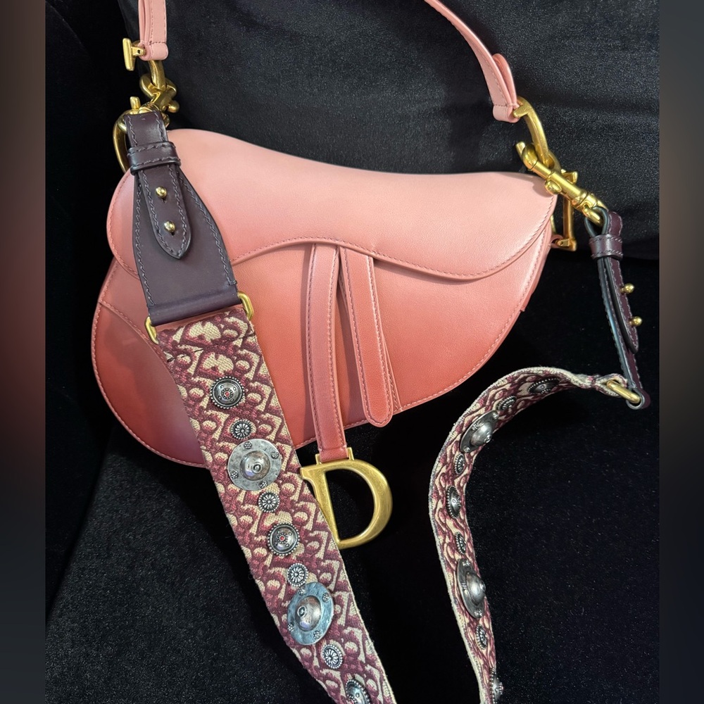Christian Dior Ombré Saddle bag. Rare